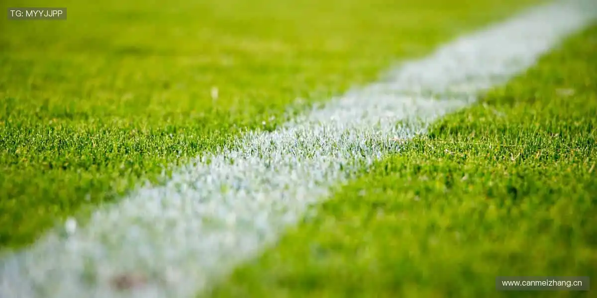 赛事狂欢，即刻沸腾！🎊🏀